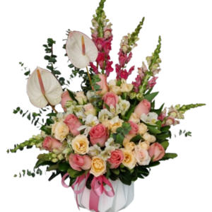 DULCE PARAISO