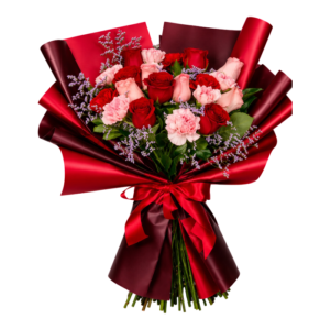 ANELISSE