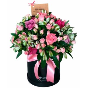 CUTIE BOX