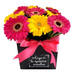 HAPPINESS BOX
