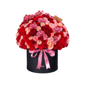 ORCHID LOVE BOX