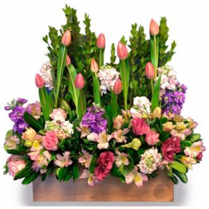 PRIMAVERA