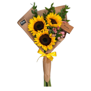 SOL