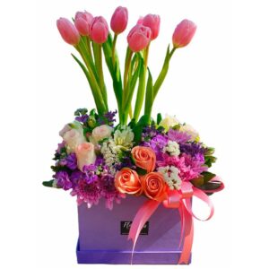 TULIP PREMIUM BOX