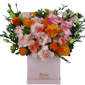 COQUETTE BOX